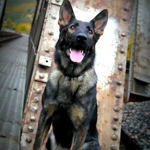 Meet your Posher, Ricki